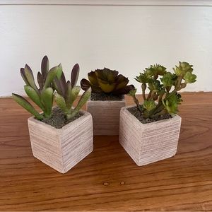 (SET OF THREE) Mini Succulent Faux Accents